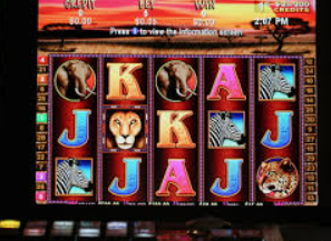 星空体彩app手机版