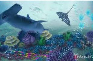 星空体彩app电脑免费版