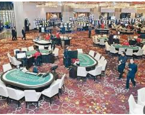 星空体彩app电脑免费版